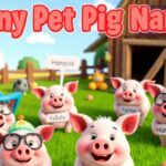 250+Funny Pet Pig Names