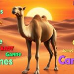 250+Names for Camels