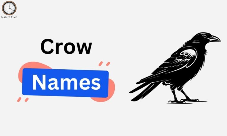 Best Pet Names for Crow and Raven