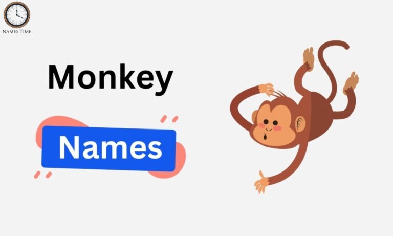 Famous Pet Names for Monkey