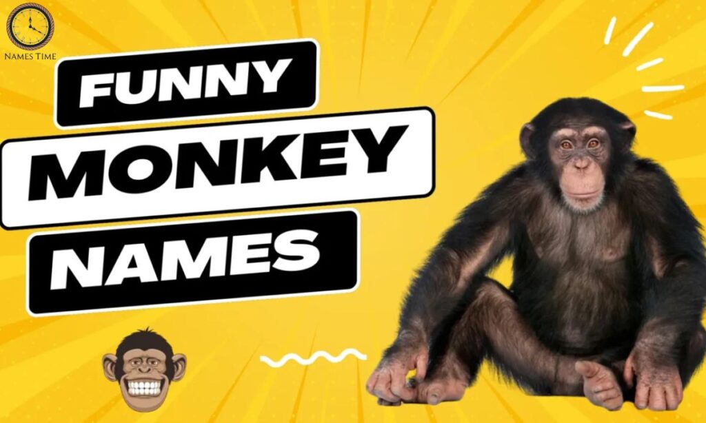 Funny Names for Monkey 