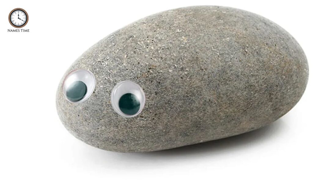 Good Names for Pet Rocks